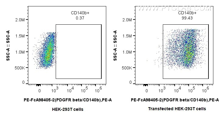Flow cytometry (FC) experiment of Transfected HEK-293T cells using FcZero-rAb® PE Anti-Human PDGFR beta/CD140b Rabbit (PE-FcA98405-2)