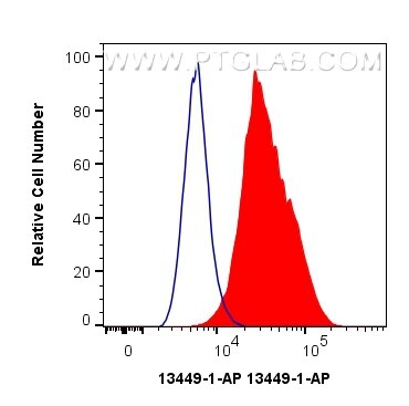 FC experiment of A549 using 13449-1-AP