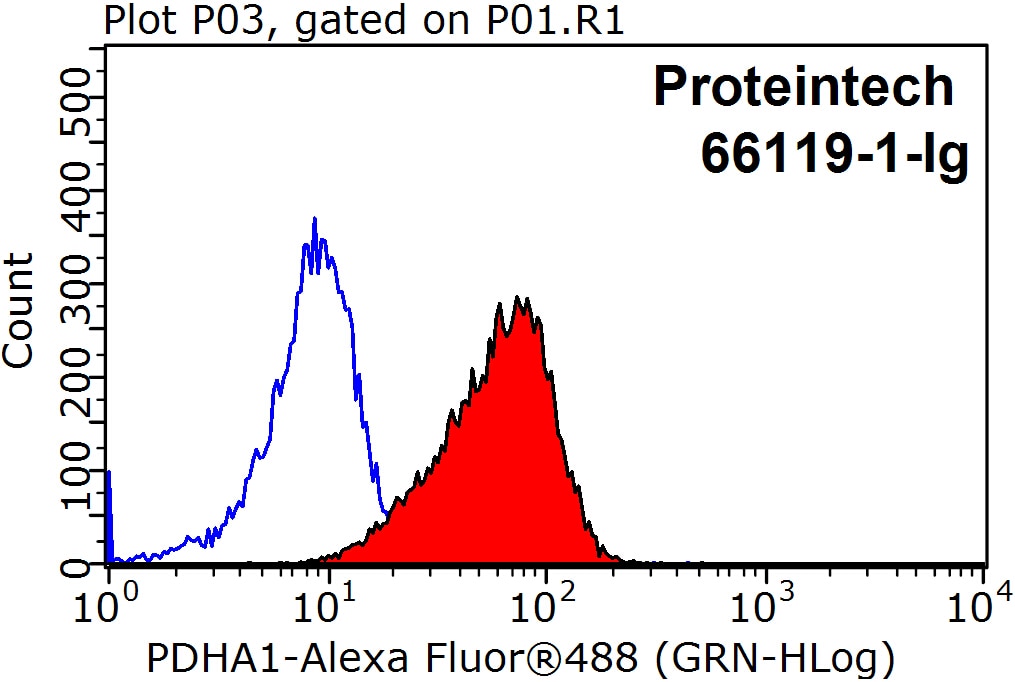Flow cytometry (FC) experiment of HepG2 cells using PDH E1 Alpha Monoclonal antibody (66119-1-Ig)