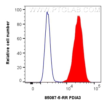 Flow cytometry (FC) experiment of HeLa cells using PDIA3 Recombinant antibody (85087-5-RR)
