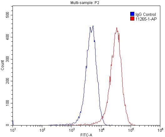 Flow cytometry (FC) experiment of HUVEC cells using CD31 Polyclonal antibody (11265-1-AP)