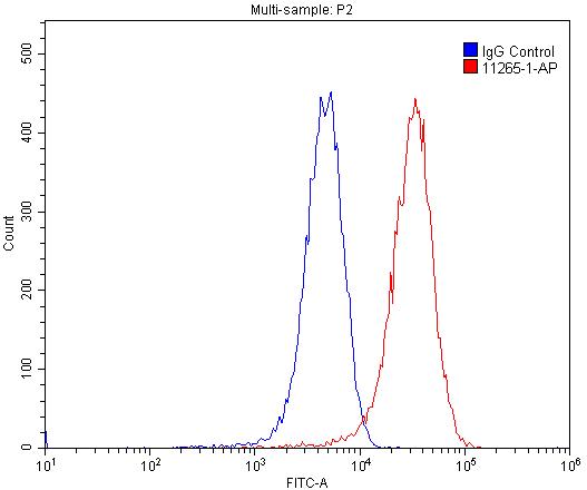 FC experiment of HUVEC using 11265-1-AP