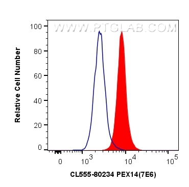 Flow cytometry (FC) experiment of HeLa cells using CoraLite®555-conjugated PEX14 Recombinant antibody (CL555-80234)