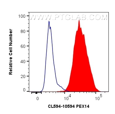 Flow cytometry (FC) experiment of HeLa cells using CoraLite®594-conjugated PEX14 Polyclonal antibody (CL594-10594)