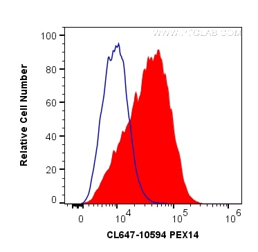 Flow cytometry (FC) experiment of HeLa cells using CoraLite® Plus 647-conjugated PEX14 Polyclonal ant (CL647-10594)