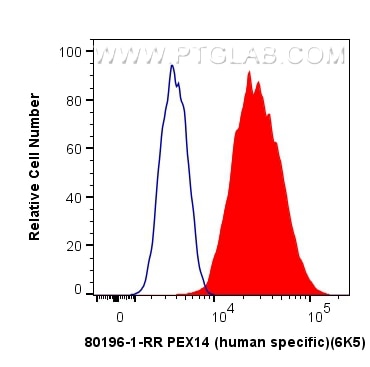 Flow cytometry (FC) experiment of HeLa cells using PEX14 (human specific) Recombinant antibody (80196-1-RR)
