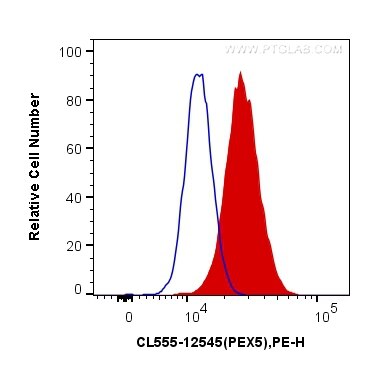 Flow cytometry (FC) experiment of HeLa cells using CoraLite®555-conjugated PEX5 Polyclonal antibody (CL555-12545)