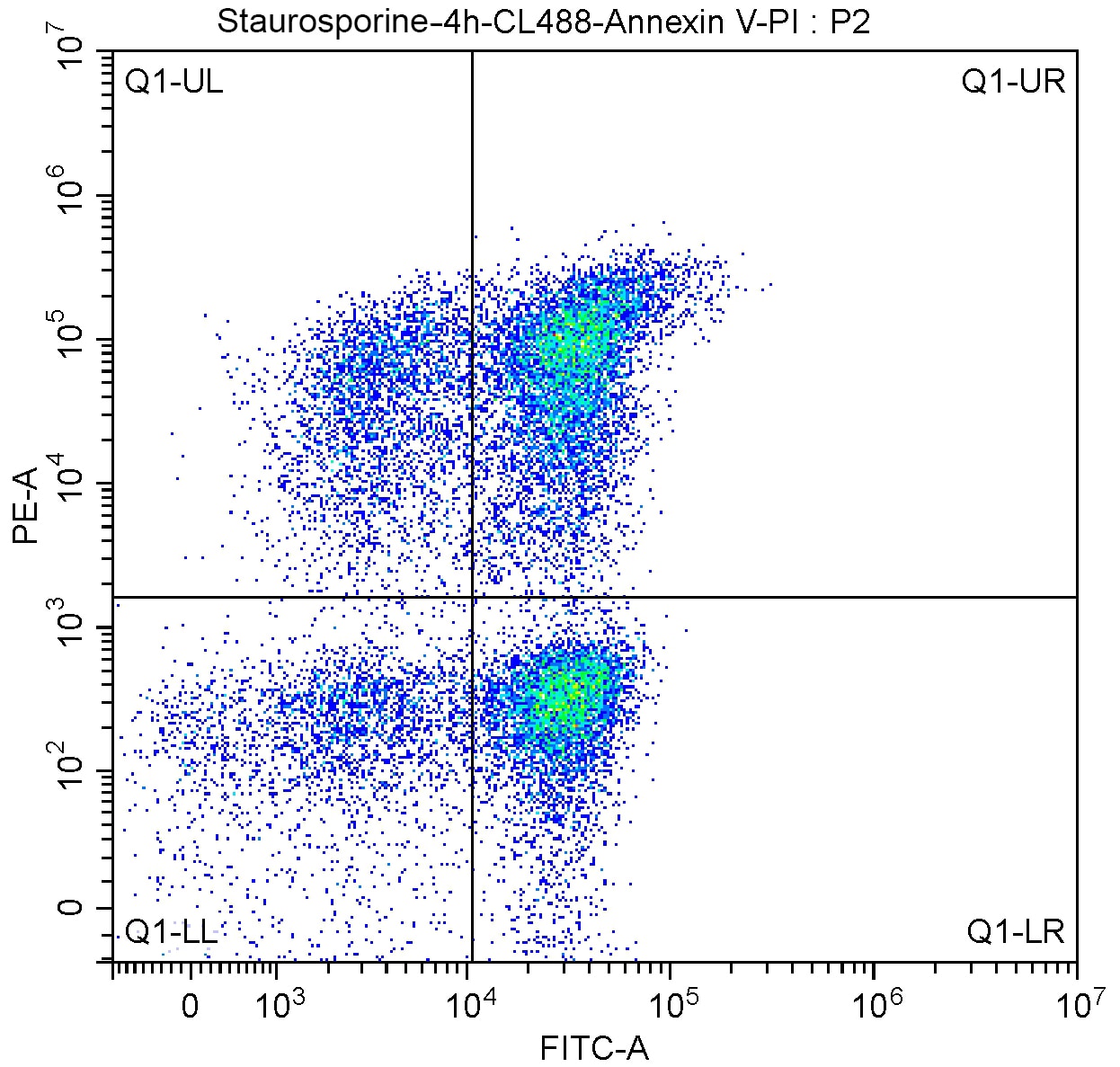 The cell population was analyzed in THE SSC/FSC diagram