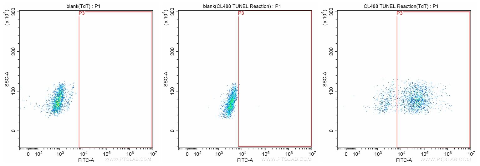 The above experimental results are based on Jurkat cells cultured for three days to perform a flow cytometry experiment to detect the apoptotic cells in the cell sample.