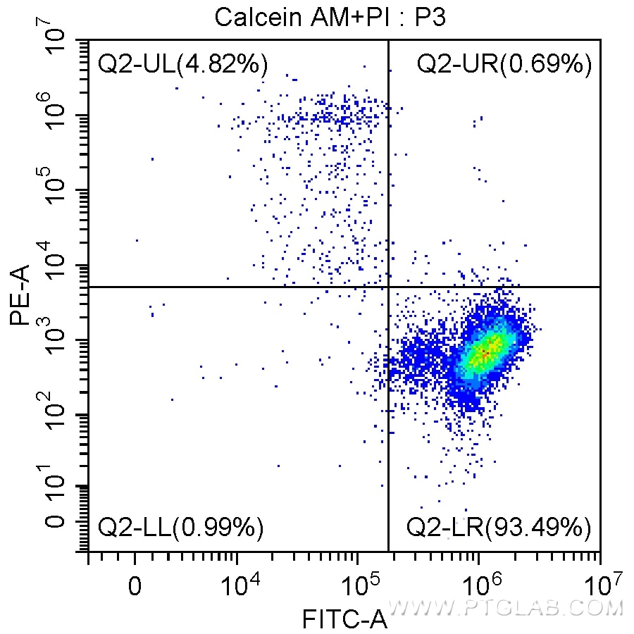 Q2-UL：Cell Group with Calcein AM -, EthD-I + (dead cells)； <br>Q2-LL：Cell Group with Calcein AM-, PI - (cell debris)； <br>Q2-LR：Cell Group with Calcein AM +, E PI - (live cells).<br>