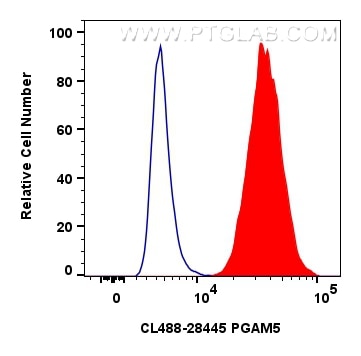 Flow cytometry (FC) experiment of MCF-7 cells using CoraLite® Plus 488-conjugated PGAM5 Polyclonal ant (CL488-28445)