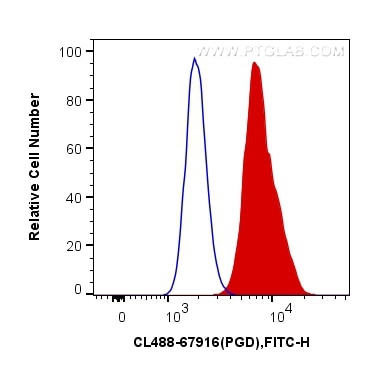 Flow cytometry (FC) experiment of HepG2 cells using CoraLite® Plus 488-conjugated PGD Monoclonal antib (CL488-67916)