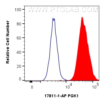 Flow cytometry (FC) experiment of HeLa cells using PGK1 Polyclonal antibody (17811-1-AP)