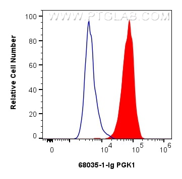Flow cytometry (FC) experiment of HeLa cells using PGK1 Monoclonal antibody (68035-1-Ig)