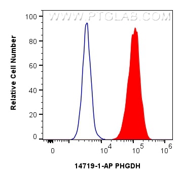 1x10^6 HeLa cells were intracellularly stained with 0.25 ug PHGDH Polyclonal antibody (14719-1-AP) and CoraLite®488-Conjugated Goat Anti-Rabbit IgG(H+L) (SA00013-2)(red), or 0.25 ug Isotype Control (blue). Cells were fixed and permeabilized with Intracellular Flow Cytometry Fixation & Permeabilization Buffer Kit (PF00019). Flow cytometry (FC) experiment of HeLa cells using PHGDH Polyclonal antibody (14719-1-AP)
