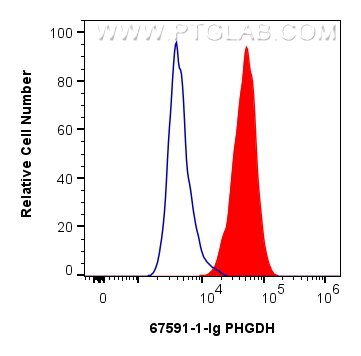 Flow cytometry (FC) experiment of HeLa cells using PHGDH Monoclonal antibody (67591-1-Ig)