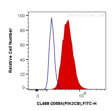 Flow cytometry (FC) experiment of HeLa cells using CoraLite® Plus 488-conjugated PI3 Kinase p110 Beta (CL488-20584)