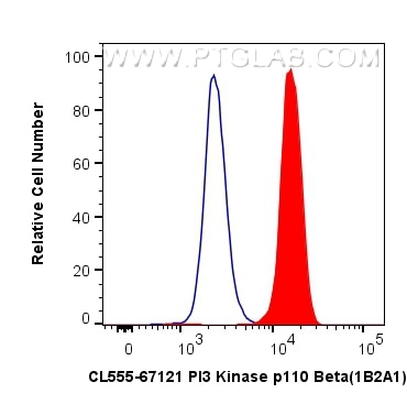 Flow cytometry (FC) experiment of HeLa cells using CoraLite®555-conjugated PI3 Kinase p110 Beta Monoc (CL555-67121)