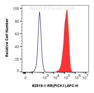 Flow cytometry (FC) experiment of HEK-293T cells using PICK1 Recombinant antibody (82919-1-RR)