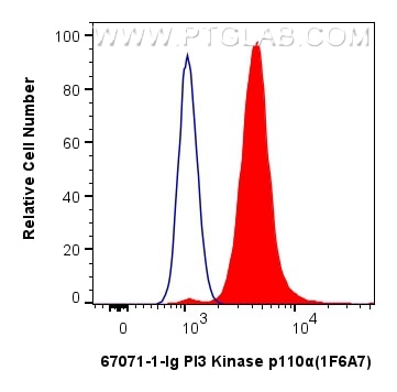 Flow cytometry (FC) experiment of Jurkat cells using PI3 Kinase p110 Alpha Monoclonal antibody (67071-1-Ig)