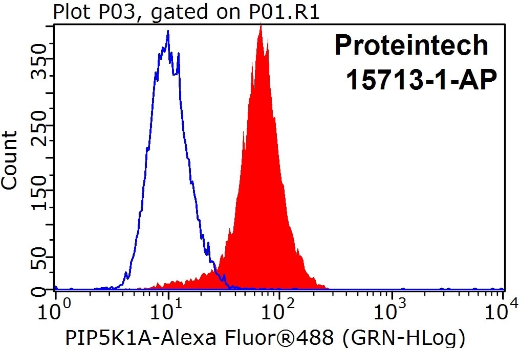 Flow cytometry (FC) experiment of HeLa cells using PIP5K1A Polyclonal antibody (15713-1-AP)
