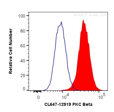 Flow cytometry (FC) experiment of K-562 cells using CoraLite® Plus 647-conjugated PKC Beta Polyclonal  (CL647-12919)