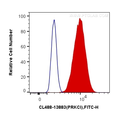 Flow cytometry (FC) experiment of HeLa cells using CoraLite® Plus 488-conjugated PKC Iota Polyclonal  (CL488-13883)
