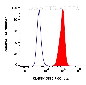 Flow cytometry (FC) experiment of HeLa cells using CoraLite® Plus 488-conjugated PKC Iota Polyclonal  (CL488-13883)