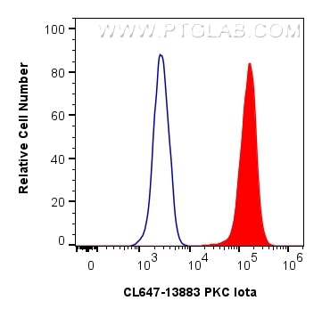 Flow cytometry (FC) experiment of HeLa cells using CoraLite® Plus 647-conjugated PKC Iota Polyclonal  (CL647-13883)