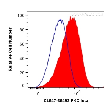 Flow cytometry (FC) experiment of HeLa cells using CoraLite® Plus 647-conjugated PKC Iota Monoclonal  (CL647-66493)