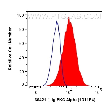 Flow cytometry (FC) experiment of HeLa cells using PKC Alpha Monoclonal antibody (66421-1-Ig)