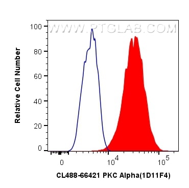 Flow cytometry (FC) experiment of HeLa cells using CoraLite® Plus 488-conjugated PKC Alpha Monoclonal (CL488-66421)