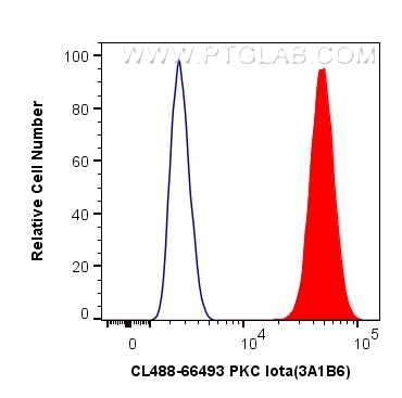 Flow cytometry (FC) experiment of HeLa cells using CoraLite® Plus 488-conjugated PKC Iota Monoclonal  (CL488-66493)