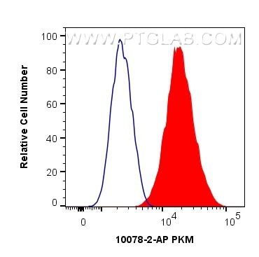 Flow cytometry (FC) experiment of HepG2 cells using PKM Polyclonal antibody (10078-2-AP)