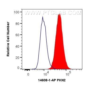 Flow cytometry (FC) experiment of HepG2 cells using PKN2 Polyclonal antibody (14608-1-AP)