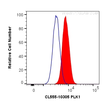 Flow cytometry (FC) experiment of A549 cells using CoraLite® Plus 555-conjugated PLK1 Polyclonal anti (CL555-10305)
