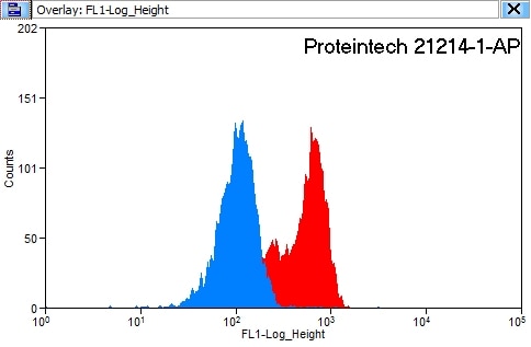 PLOD2-Specific