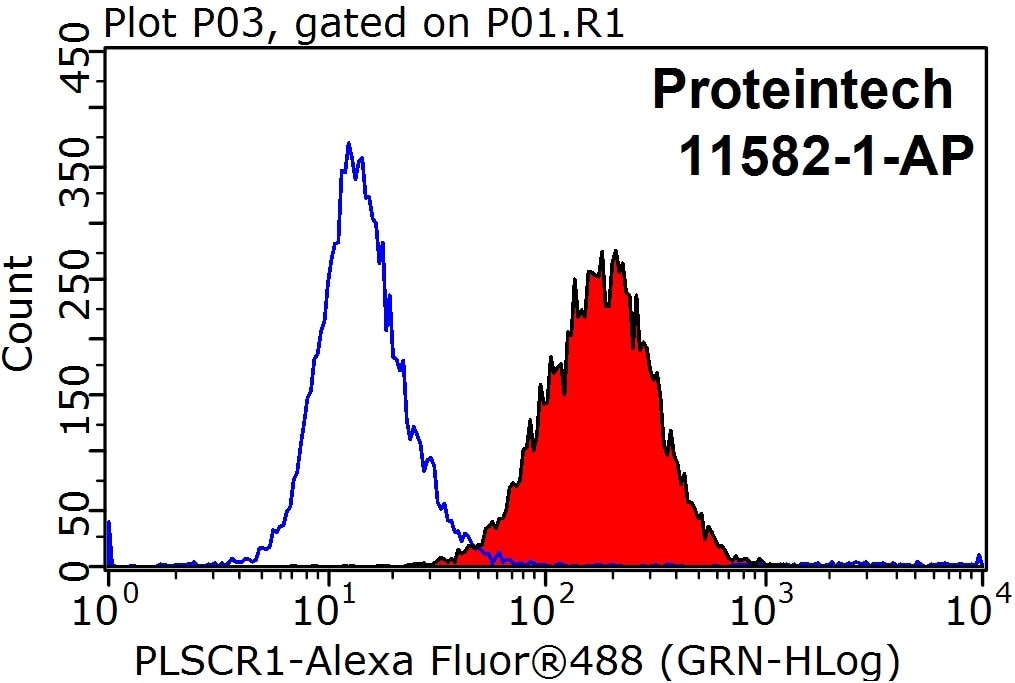 Flow cytometry (FC) experiment of HeLa cells using PLSCR1 Polyclonal antibody (11582-1-AP)