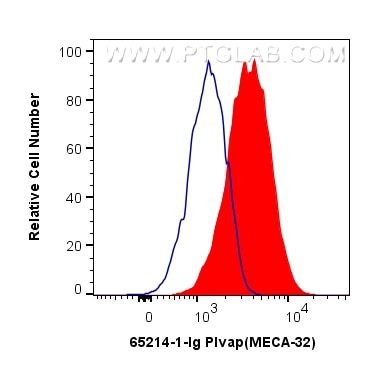 FC experiment of bEnd.3 using 65214-1-Ig