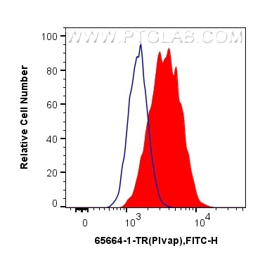 Flow cytometry (FC) experiment of bEnd.3 cells using Anti-Mouse PLVAP (MECA-32) Rat IgG2a Recombinant A (65664-1-TR)