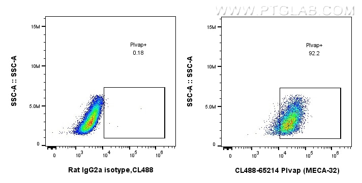 Flow cytometry (FC) experiment of bEnd.3 cells using CoraLite® Plus 488 Anti-Mouse PLVAP (MECA-32) (CL488-65214)