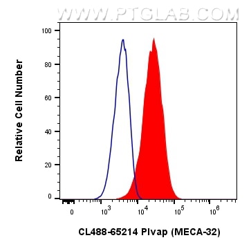 Flow cytometry (FC) experiment of bEnd.3 cells using CoraLite® Plus 488 Anti-Mouse PLVAP (MECA-32) (CL488-65214)