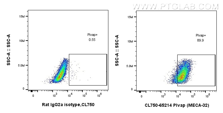 Flow cytometry (FC) experiment of bEnd.3 cells using CoraLite® Plus 750 Anti-Mouse PLVAP (MECA-32) (CL750-65214)