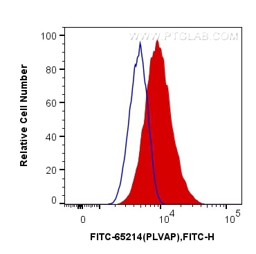 Flow cytometry (FC) experiment of bEnd.3 cells using FITC Plus Anti-Mouse PLVAP (MECA-32) (FITC-65214)