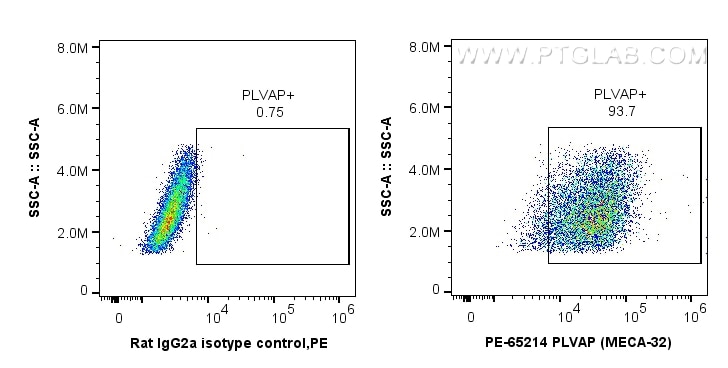Flow cytometry (FC) experiment of bEnd.3 cells using PE Anti-Mouse PLVAP (MECA-32) (PE-65214)