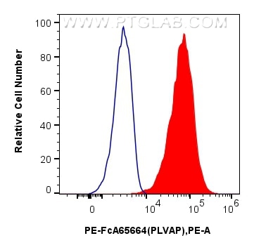 Flow cytometry (FC) experiment of bEnd.3 cells using FcZero-rAb™ PE Anti-Mouse PLVAP (MECA-32) Rabbit I (PE-FcA65664)