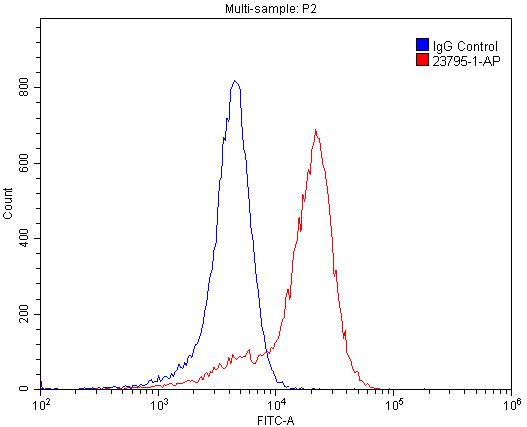 FC experiment of SH-SY5Y using 23795-1-AP