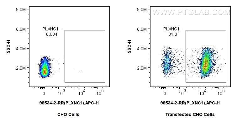 Flow cytometry (FC) experiment of Transfected CHO using Anti-Human PLXNC1 Rabbit Recombinant Antibody (98534-2-RR)