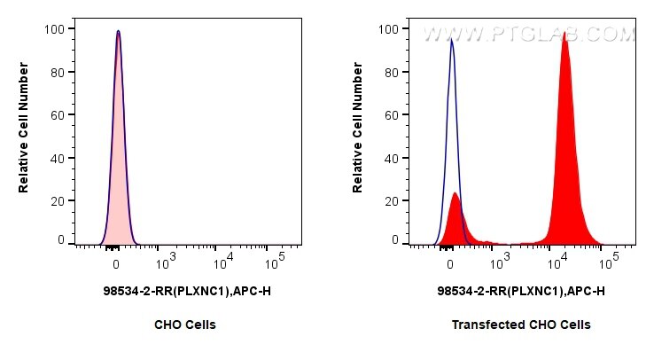 Flow cytometry (FC) experiment of Transfected CHO using Anti-Human PLXNC1 Rabbit Recombinant Antibody (98534-2-RR)
