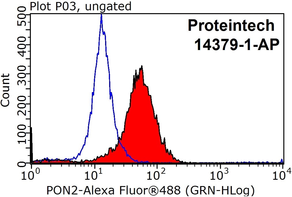 Flow cytometry (FC) experiment of HepG2 cells using PON2 Polyclonal antibody (14379-1-AP)